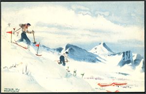 Trygve M. Davidsen. Nær 70 postkort, nær alle signerte. Noe mer enn halvparten er i småformat.