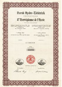 Norsk Hydro-Elektrisk