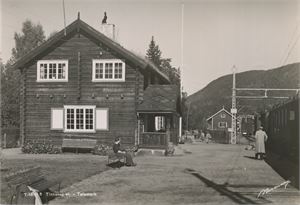Postkort jernbane TINNOSET stasjon (TE) A6 s/h (Normann 7-16-18) ubrukt