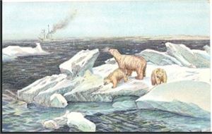 Isbjørner