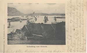 Svelvik, Indseilingen ved Svelvik (M.Andersen,1904) stemplet Svelvik 26-VII-04