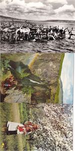 6 stk Eidfjord/Hardangervidda