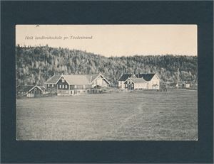 HOLT LANDBRUKSSKOLE pr TVEDESTRAND (Olga Næslund). Stemplet "STAUBØ"