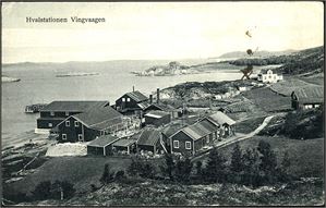 Hvalstationen Vingvaagen. Brukt i mars 1921, ikke sendt. K-2