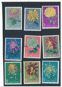 KINA o 9 krysantimer fra 1960-61