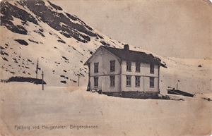 Hardangervidda - Fjelberg ved Haugastølen