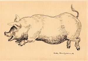 Postkort Lot 9 kort Ridley Borchrevink