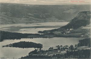 Postkort jernbane FAGERNES med stasjon (OP) småf. (Aune 167) st. Fagernes IIL 1910