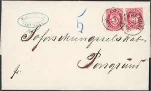 18. 6 skillings innnelandsporto. 3 skilling Posthorn i horisontalt par på dobbeltvektig brev, stemplet "Arendal 28.11.1872".