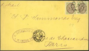 10. DWI. 10 c postage to France. Two 5 c bicoloured (print II) on coverfront to Paris, cancelled "St. Thomas 25.2.1885".