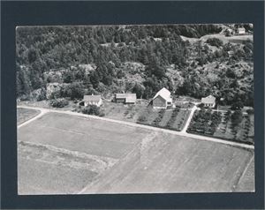 LINDSTØL, LIA, GRIMSTAD (Privat storformat) Brukt som julekort 1953
