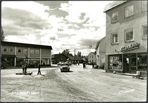 Hedemark. 137 postkort, hvor 43 er i småformat. Av storformatkortene er 22 i svart/hvit.