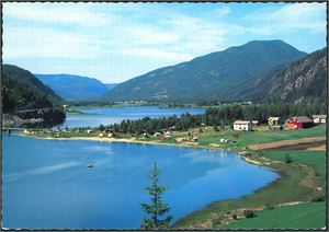 Buskerud. Ca 500 stedskort i storformat i farger. En del hoteller og "fjellstuer", men fine motiver i blandt.