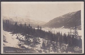 Bergensbanen Mellem Aal og Gjeilo (Abel) st. 1911