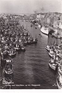 Båtkort/Rogaland - Havnen med fiskerflåten og m/s Haugesund
