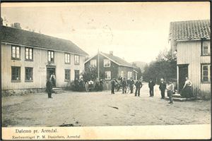 Aamlid, Fiane, Moland, Tveitsund, Vegaardshei, Birkeland, Fiane etc. Nær 230 postkort i album, hvor ca 200 er i småformat.