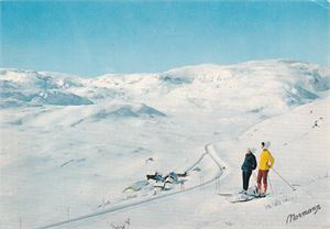 Turisthytte - Haukeli  Fjellstove