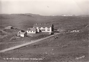 Hardangervidda - Dyranut Turisthytta