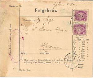 NK 70, følgebrev fra Høidalsmo frankert med 50 øre og stemplet "Kviteseid" 25-07-1898.