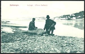 Spitsbergen i Billeder, Nordisk Kortforlag, Kristiania. Komplett serie på 20 løse kort i småformat, inkludert omslaget til kortene. K-1