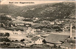 Buskerud Hyggenstranden, parti fra. (Ingen utgiver data). Småf. s/hv. Stpl Hyggen 7-VI-10. Pen brukskvalitet.
