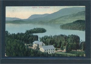 OPPLAND VALDRES - HOTEL FAGERLUND (Mittet 883) Pent fargekort stemplet "HÆGEBOSTAD 26 I 11"