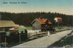 Tonsaasen st. Valdres.  Glanset kolorert kort med Lok damp, og folk.  (JHK,112) UB småf.