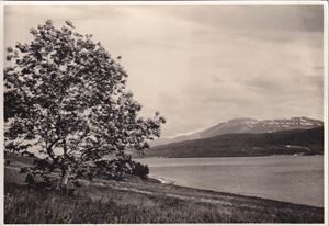 Hordaland - Hardangerfjord