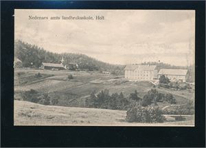 NEDENAES AMTS LANDBRUSSKOLE, HOLT (PMD). Ubrukt, bakside ødelagt etter innliming