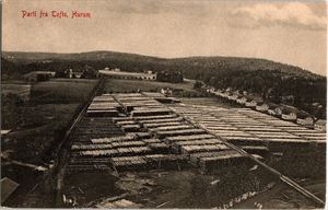 Buskerud Tofte, Hurum, masse tømmer. (Bauthler). Småf. s/hv. Stpl. Tofte i Hurum 9-III-17. Pen kvalitet.
