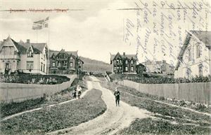 Drammen Drammen, Villakvarteret Strøm (NK 1803). Småf. s/hv. Stpl i 1911. Stpl.stripe og noe skrift foran, ellers pen kvalitet.