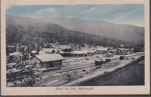 Gol, Hallingdal.  Kolorert kort (LKÖ, 310) st. 1920