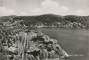 Postkort jernbane BREVIK stasjon (TE) A6 s/h (Aaser, Skien 02), ubrukt