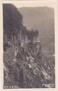 Torstein Lofthus - Tokagjel