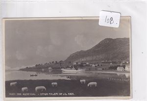 Rosendal m/"Vøringen"