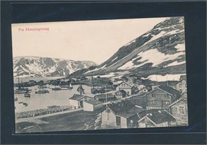 FRA HONNINGSVAAG (Larsen-Norman No 150) stemplet "SØNDRE HONNINGSVAAG 22-VIII-11"