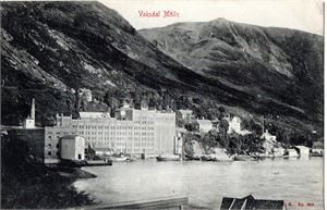 Vaksdal mølle