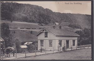 Krekling, parti fra. (Muggerud landhandel) (O.Næss,1909,599)  brukt, frimerket fjernet