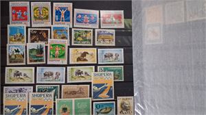 ALBANIEN dubblettsamling **/*/o i fyra insticksböcker med bland annat några miniblock.