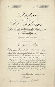Sodium - De elektrokemiske fabriker