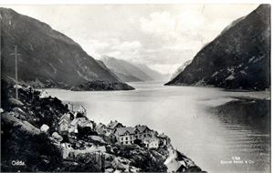 Odda