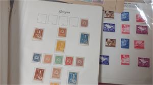 RYSSLAND och biområden (Ukraina, Georgien mm). Parti diverse på blad och instickskort