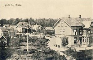 Vestfold Stokke, parti fra (T.G.S). Småf. s/hv. Stpl. Stokke 28-II-07. En veldig lett bøy/brekasje nede til venstre som ikke sees forfra, ellers pen kvalitet