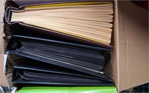 RUMÄNIEN samling klassiskt-1995 i två visir- och ett Schaubekalbum (blad 1945-1970). En hel del klassiskt