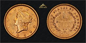 USA 1 dollar 1853 gull