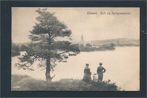 LILLESAND. PARTI FRA SPRINGVANDSHEIEN (N. K. 130) stemplet "BREVIK - KR-SAND S C 9-XII-06"