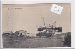 Djønne i Hardanger m/HSD-båten "Folgefonden"