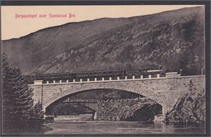 Bergenstoget over Svenkerud Bro (Flott motiv med tog) (NK 1578) UB