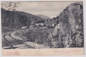 Jernbane Brekke Station (NLR,1343) st 1916
