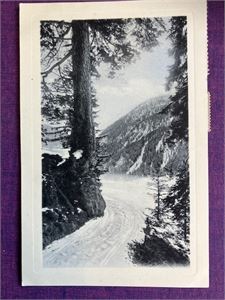 Vinterbilde - utgiver se bilde av kortet - brukt i 1910